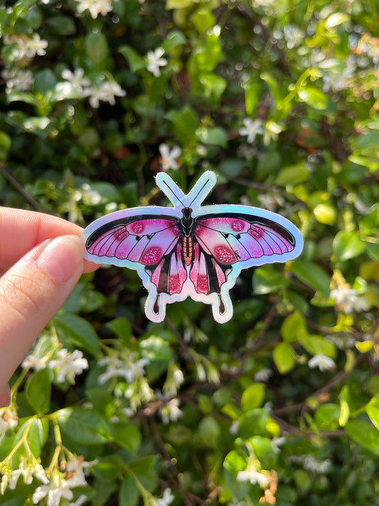 Pink butterfly sticker